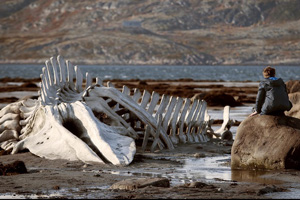 Нашумевший российский фильм Андрея Звягинцева выходит в финский прокат