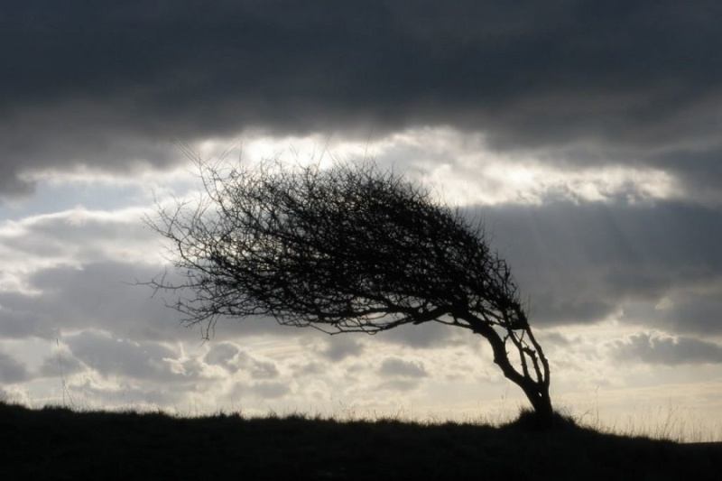 27 сентября местами в Свердловской области ожидается усиление ветра до 20 м/с