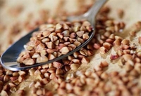 Первая партия дешевой гречки поступила на Средний Урал Первая партия дешевой гречки поступила на Средний Урал