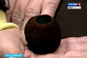 Редчайший гриб, занесенный в Красную книгу, найден на Урале