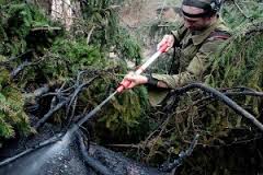 В Зауралье идут лесные пожары