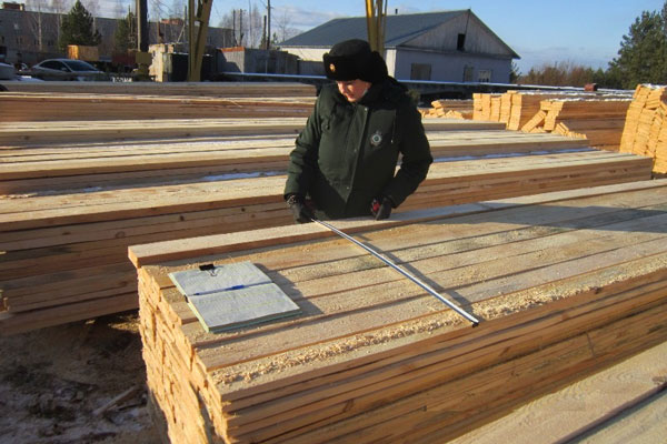 Уральские таможенники пресекли вывоз древесины ценной породы