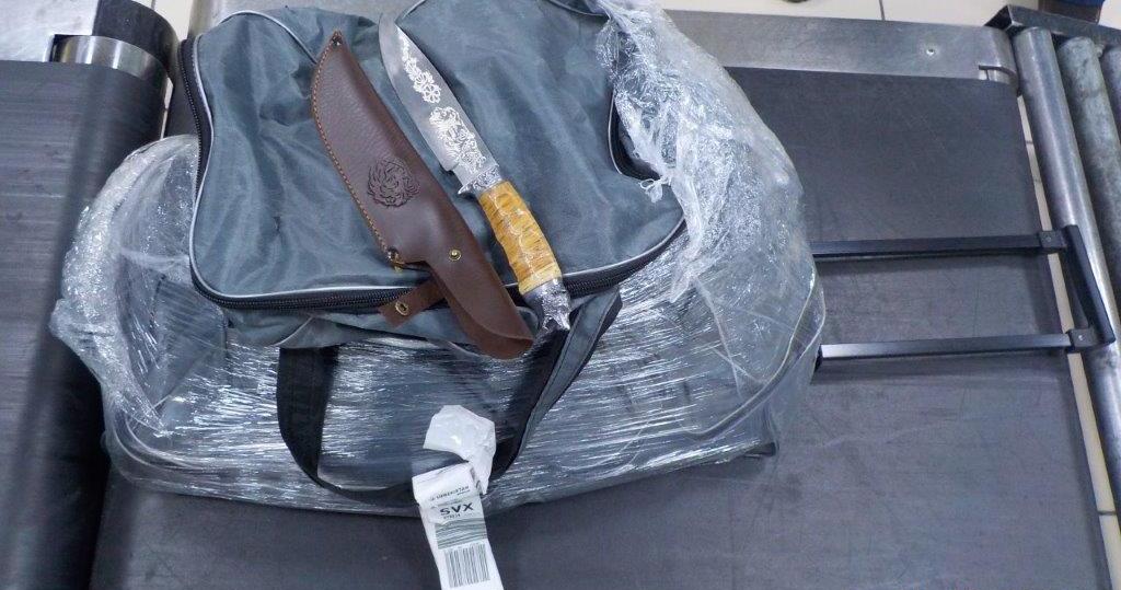 Кольцовские таможенники выявили в багаже пассажира опасный сувенир для друга