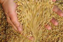 В Оренбургской области аграриев «нагрели» с льготными ценами на топливо