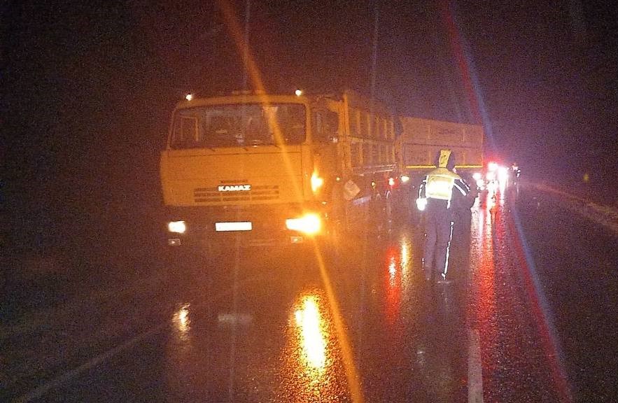 Помешали кабаны — на тюменской трассе мужчина, две женщины и маленькая девочка получили травмы | В Тюменской области четыре человека травмировались из-за стаи кабанов Помешали кабаны — на тюменской трассе мужчина, две женщины и маленькая девочка получили травмы | В Тюменской области четыре человека травмировались из-за стаи кабанов