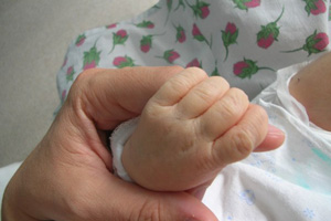 В России отмечают День матери!