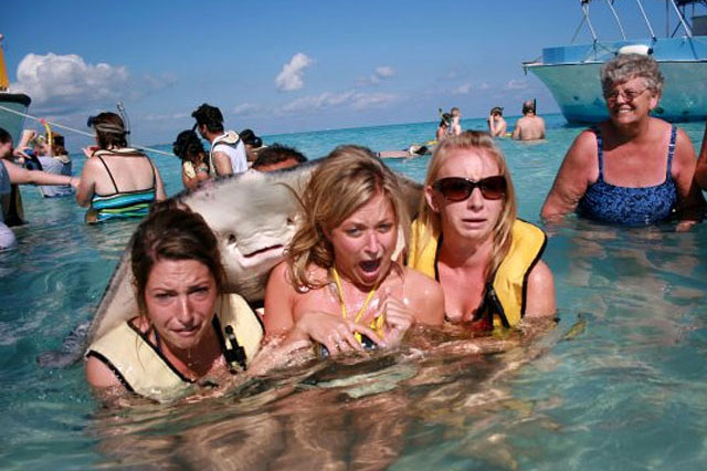 Самое смешное фото недели: скат испортил групповой снимок