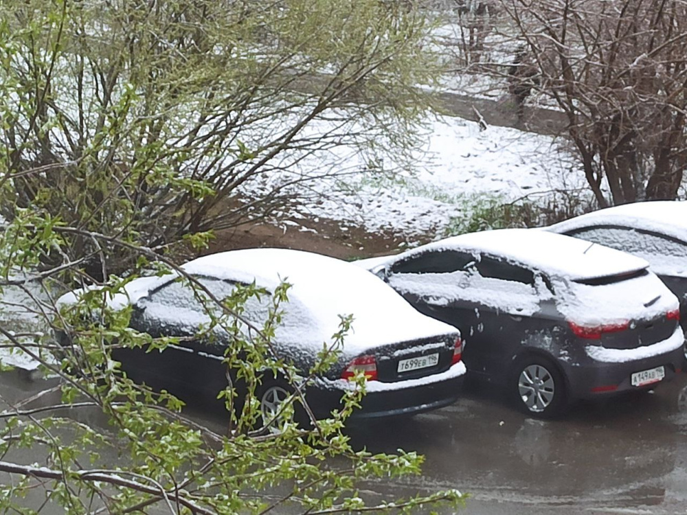 Зима вернулась на Урал. Рассказываем, надолго ли  | В Екатеринбурге и окрестностях выпал снег 