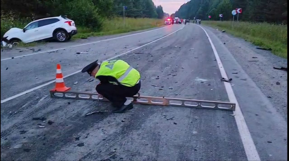 На трассе под Верхней Салдой на Урале погиб человек  | Человек погиб на Урале под Верхней Салдой на трассе 