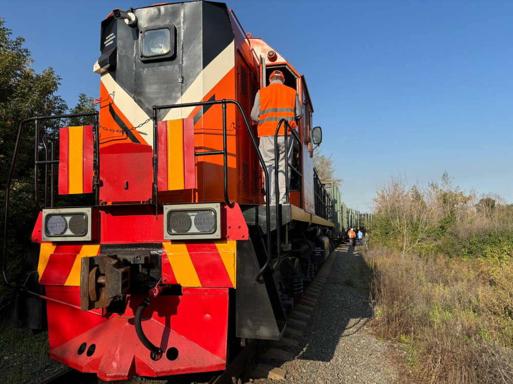 Под Челябинском грузовой поезд задавил девочку-подростка  | В Челябинской области поезд задавил 13-летнюю девочку 