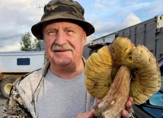 Возле Каменска-Уральского в лесу нашли необычный гриб  | На Урале вырос нестандартный гриб 