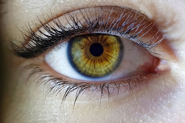 Девочка сохранила зрение — тюменские врачи провели сложную операцию | В Тюмени врачи спасли зрение четырёхлетней девочке Девочка сохранила зрение — тюменские врачи провели сложную операцию | В Тюмени врачи спасли зрение четырёхлетней девочке