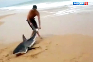 Рыбак, спасший большую белую акулу, стал героем YouTube. Видео