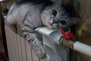 Конец домашнему теплу