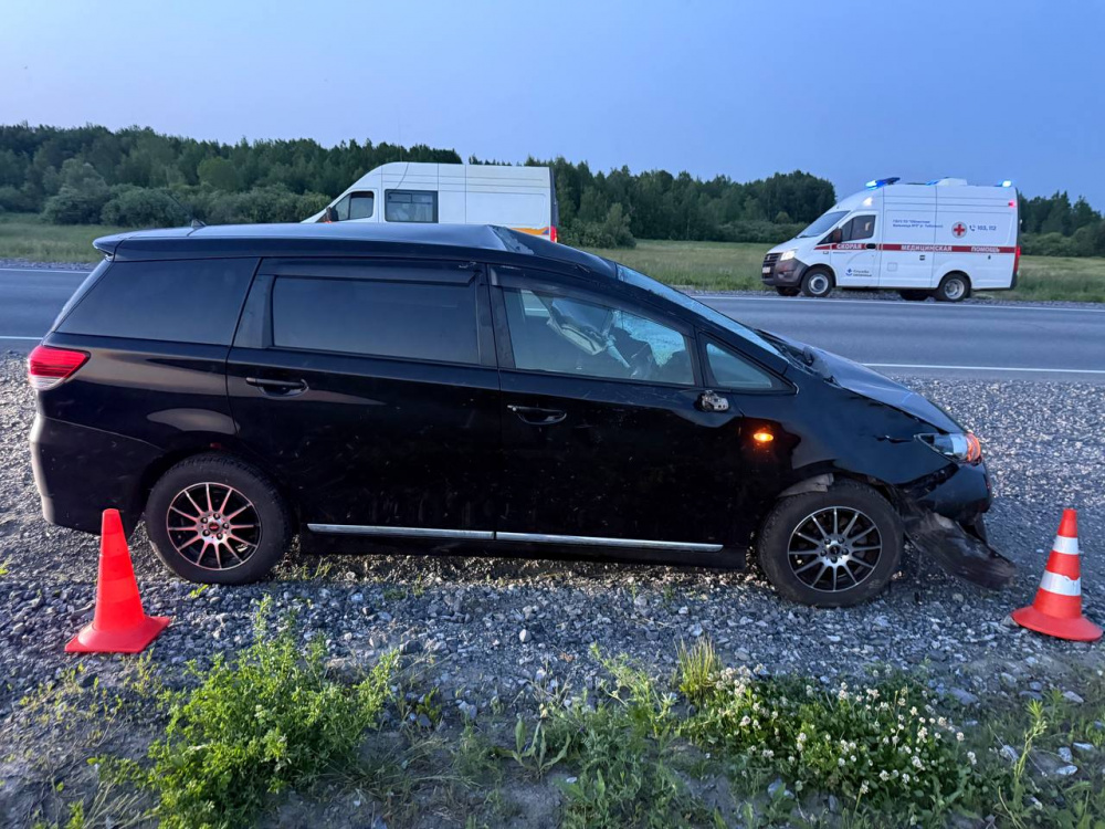 В Тюменской области семья из Ноябрьска задавила лося  | Лось погиб в ДТП на тюменской трассе 