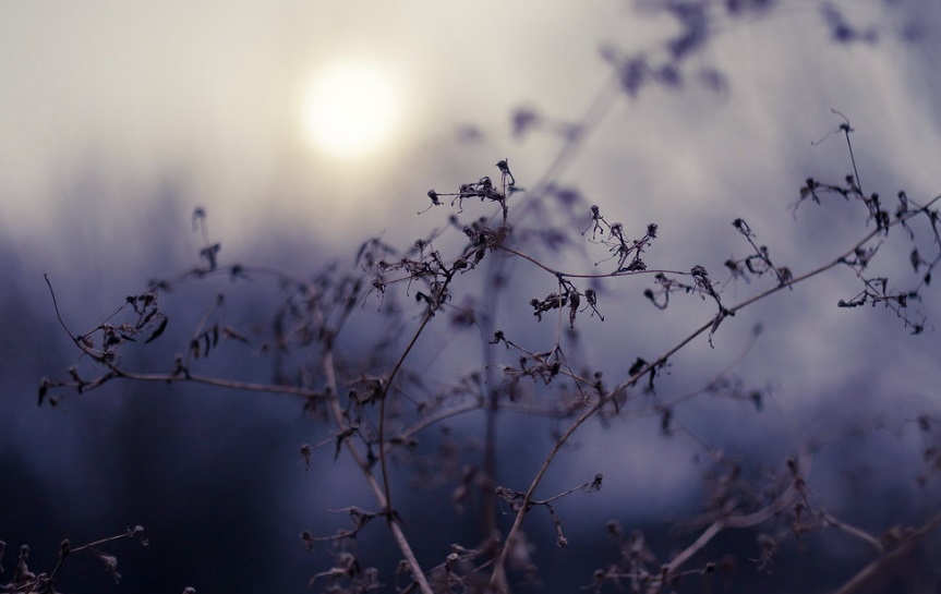 Конец недели в Свердловской области будет прохладным