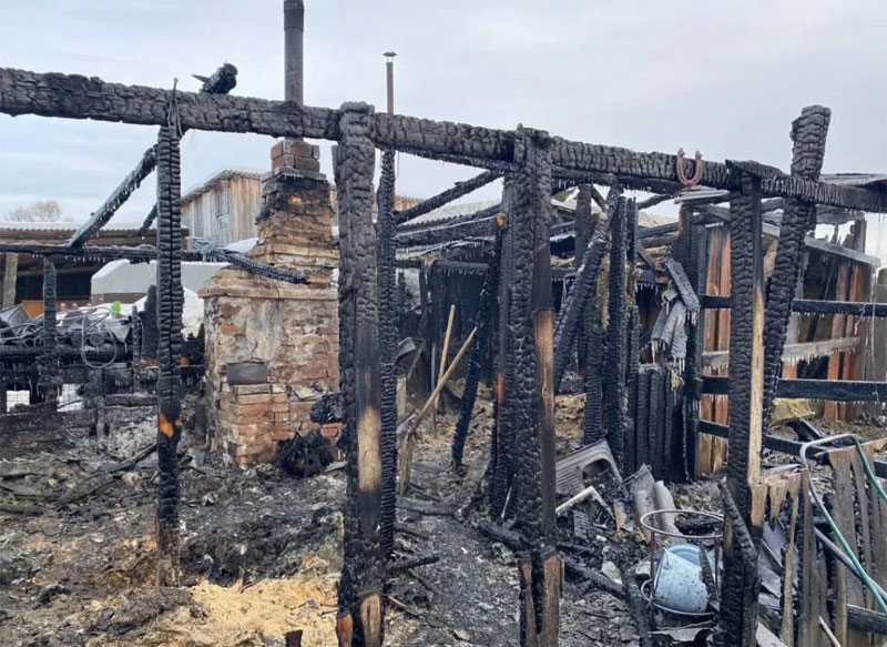 Пожар в конюшне Сысерти унес жизни двух человек, спасены лошади | Два человека погибли при пожаре в конюшне Сысерти, животные спасены