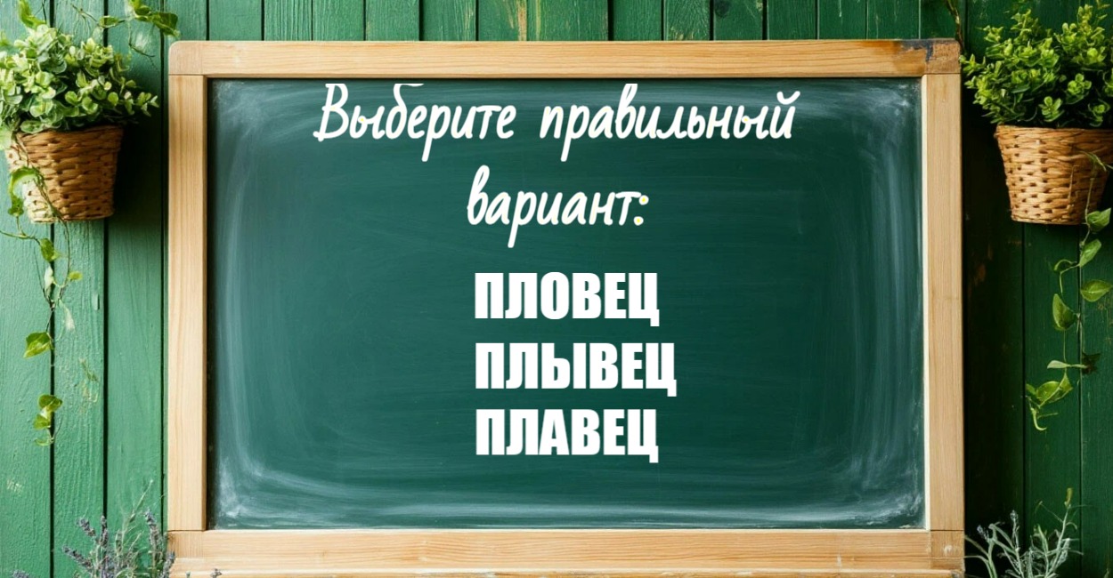 Смотреть в словарь — нельзя: тест на грамотность, который не сдают даже отличники — испытайте свои знания