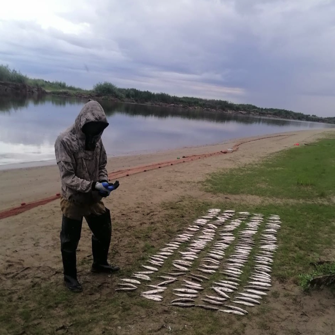 В Салехарде задержан местный житель по подозрению в браконьерстве В Салехарде задержан местный житель по подозрению в браконьерстве