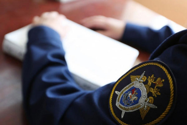 В Свердловской области местные жители нашли голову женщины со следами зубов медведя  | Женскую голову нашли возле коллективного сада на Урале 