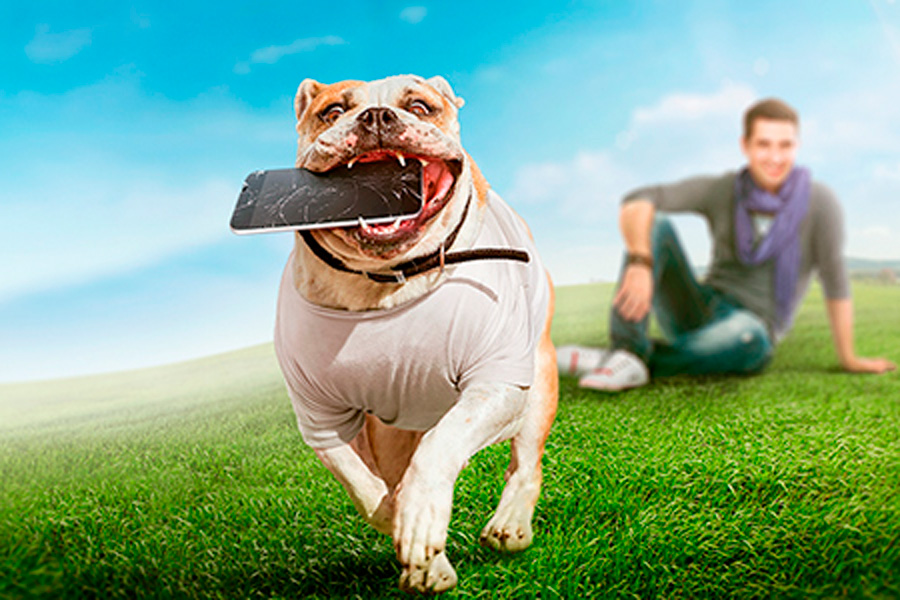 Смартфонам больше не страшны огонь, вода и медные трубы Смартфонам больше не страшны огонь, вода и медные трубы