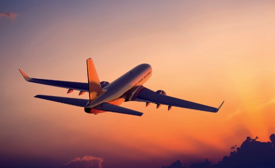 Авиадебоширам могут запретить выезд из России Авиадебоширам могут запретить выезд из России