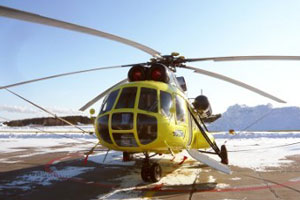 В Омской области разбился вертолет Ми-8