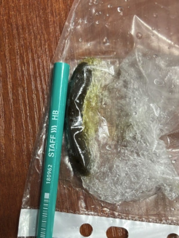 На Урале пассажир поезда перевозил наркотики в бутылке из-под геля для душа