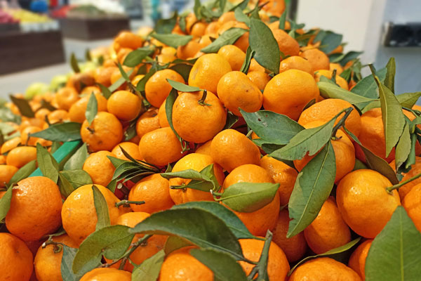 Снизить давление, убрать воспаление, сохранить зрение – о пользе фруктов и овощей