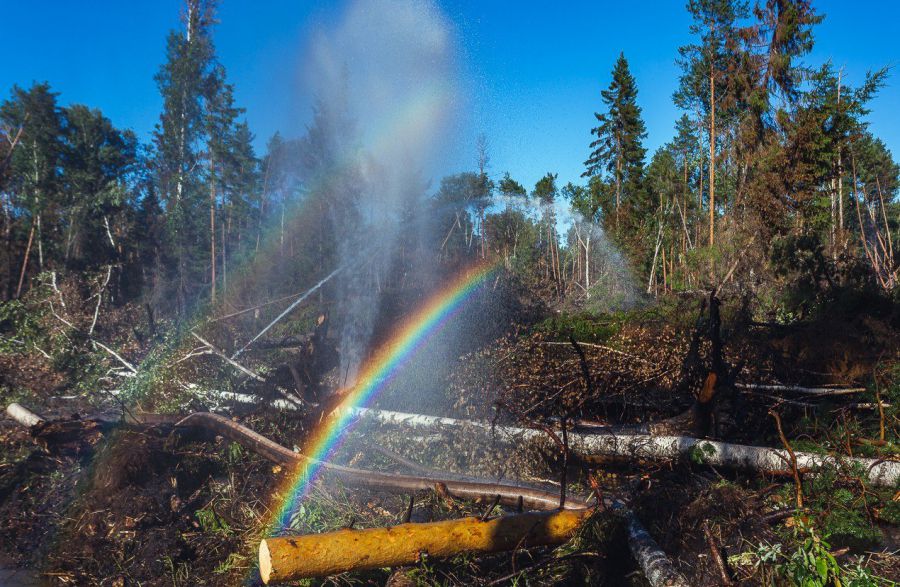 Особый противопожарный режим начинает действовать в Свердловской области  | В Свердловской области с 19 апреля водят особый противопожарный режим 