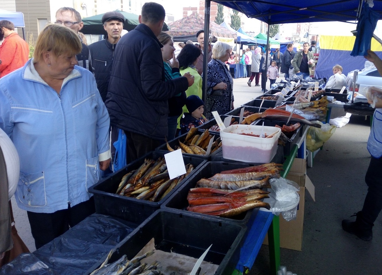 В выходные в 14 свердловских муниципалитетах пройдут ярмарки