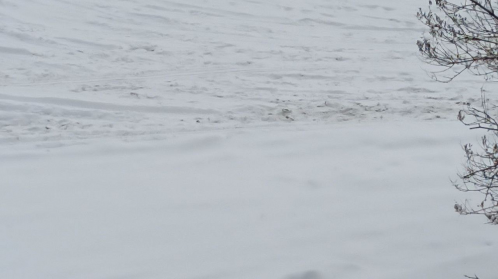 Новогодний снег — на Урале идут сильные снегопады  | Регионы Урала оказались во власти снегопадов 