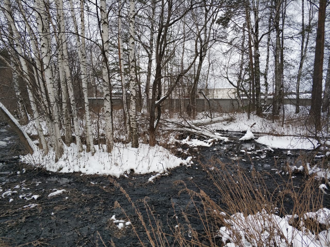 Прокуратура через суд взыскала с птицефабрики свыше 11,8 млн. рублей в качестве возмещения ущерба, причиненного окружающей среде