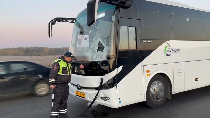 Под Екатеринбургом автобус Yutong насмерть сбил пешехода  | Автобус Yutong задавил пешехода под Екатеринбургом 