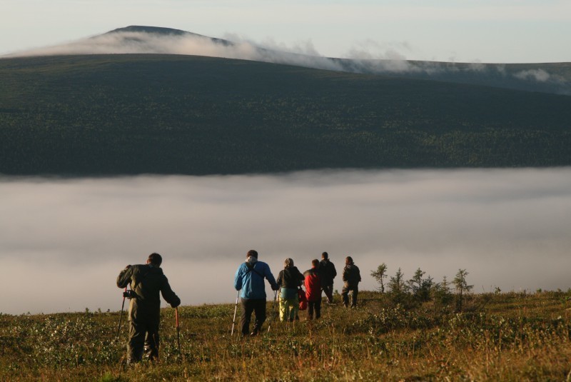 На перевале Дятлова проложат тропы для туристов