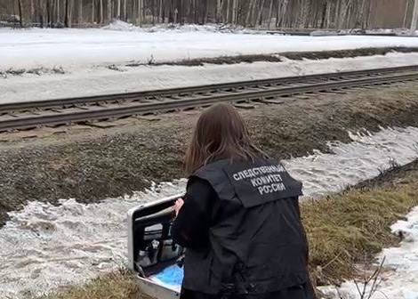 Под Екатеринбургом поезд насмерть сбил пожилую женщину | На Урале возле железной дороги нашли тело пенсионерки Под Екатеринбургом поезд насмерть сбил пожилую женщину | На Урале возле железной дороги нашли тело пенсионерки