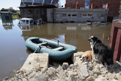 Уровень воды на Амуре подходит к отметке в 8 метров