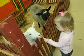 Пермякам вместо зоопарка подарят некрополь