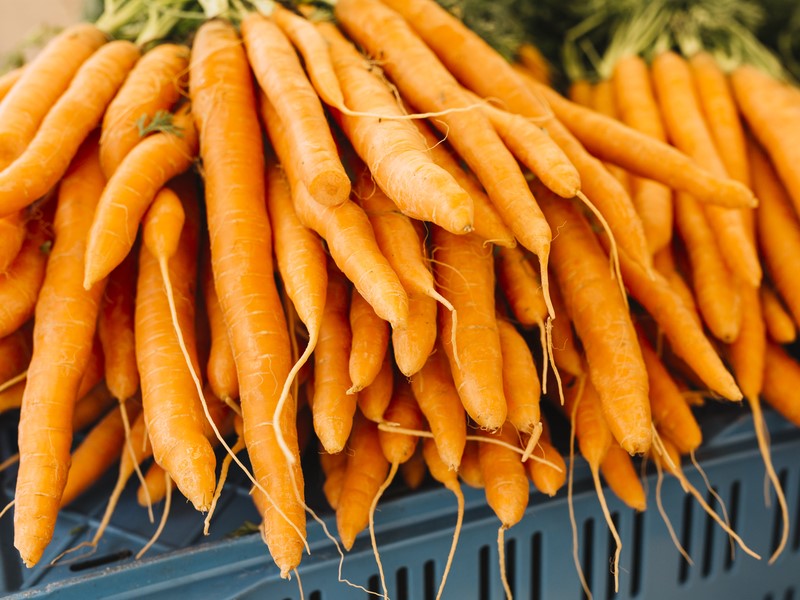 Морковь резко подорожала в России за неделю | Цены на морковь выросли в России на 4,5% Морковь резко подорожала в России за неделю | Цены на морковь выросли в России на 4,5%