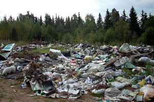 Не благотворительная помощь. Фонд «Содружество» засорял лес отходами Не благотворительная помощь. Фонд «Содружество» засорял лес отходами