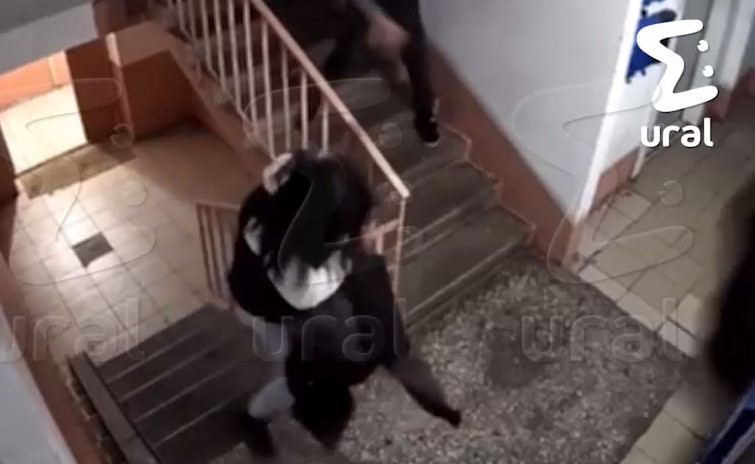 В Магнитогорске кошку с силой швырнули об стену | В Магнитогорске мужчина швырнул кошку об стену подъезда В Магнитогорске кошку с силой швырнули об стену | В Магнитогорске мужчина швырнул кошку об стену подъезда