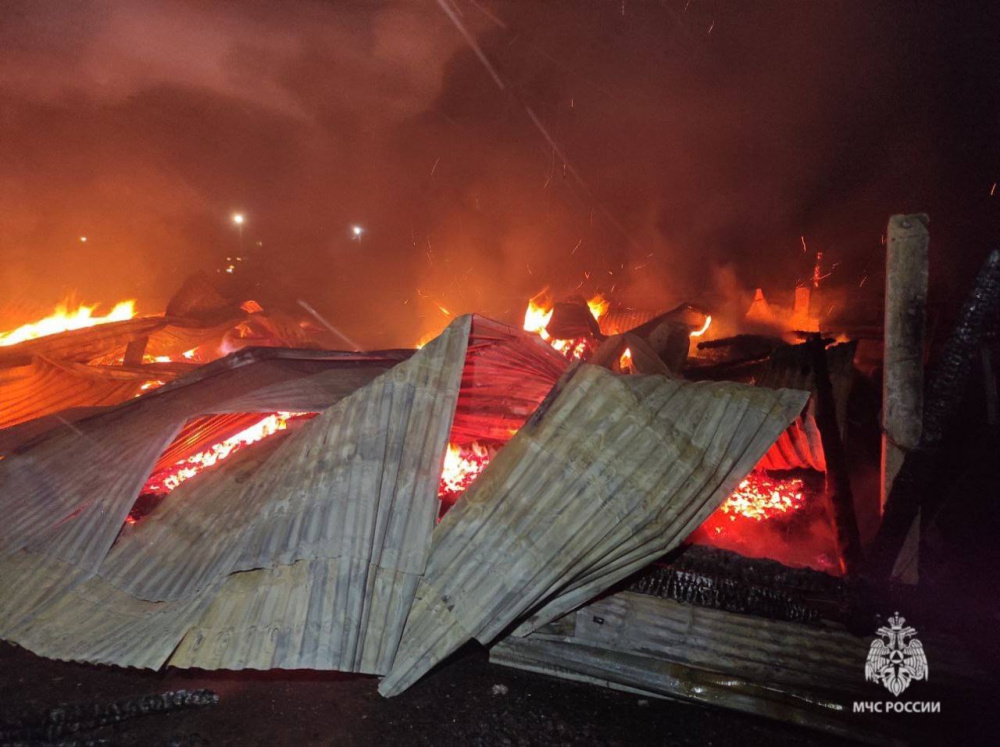 В Прикамье при пожаре погибла пожилая женщина  | Пенсионерка погибла при пожаре в Пермском крае 