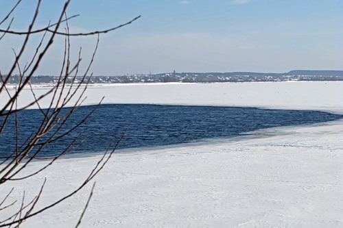 В Пермском крае возбудили уголовное дело из-за того, что чуть не погиб маленький детсадовец