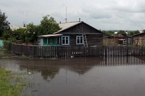Жителям Приамурья не грозит сибирская язва Жителям Приамурья не грозит сибирская язва