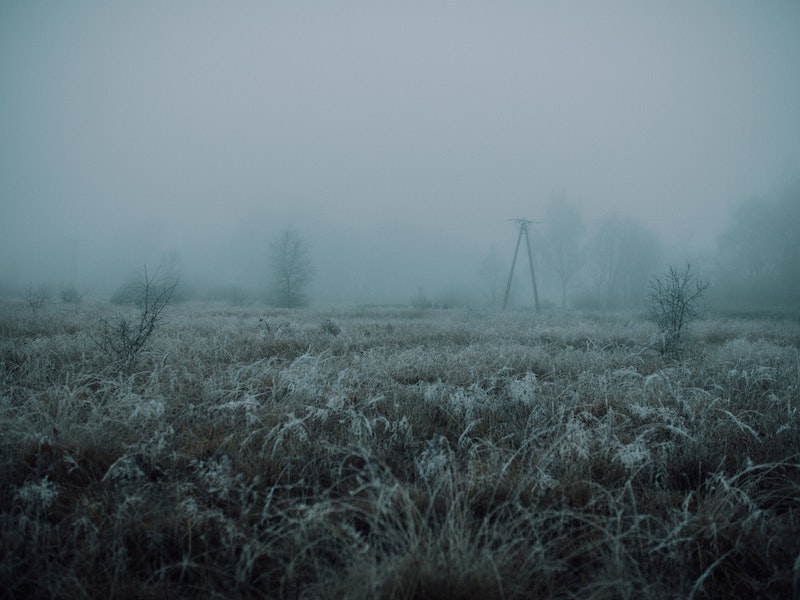 Берегите урожай! На Урал пришли заморозки | Уральцев предупредили о ночных заморозках