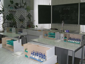 Из-за опытов на уроке химии из московской школы эвакуировали 650 учеников Из-за опытов на уроке химии из московской школы эвакуировали 650 учеников