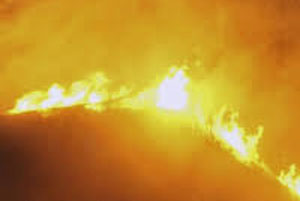 На пожаре в Переделкино погиб знаменитый писатель На пожаре в Переделкино погиб знаменитый писатель