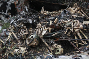 На месте крушения Ан-2 на Урале обнаружено 11 фрагментов тел На месте крушения Ан-2 на Урале обнаружено 11 фрагментов тел