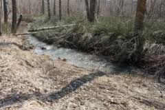 Под Новосибирском убили школьницу из благополучной семьи Под Новосибирском убили школьницу из благополучной семьи