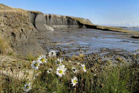У Ямала случился День рождения